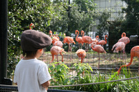IMGQ_0573.jpg