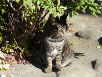 PQ1020469.jpg